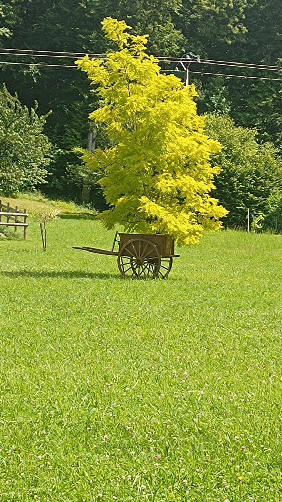 La Petite Maison Dans La Prairie Ecommoy Εξωτερικό φωτογραφία